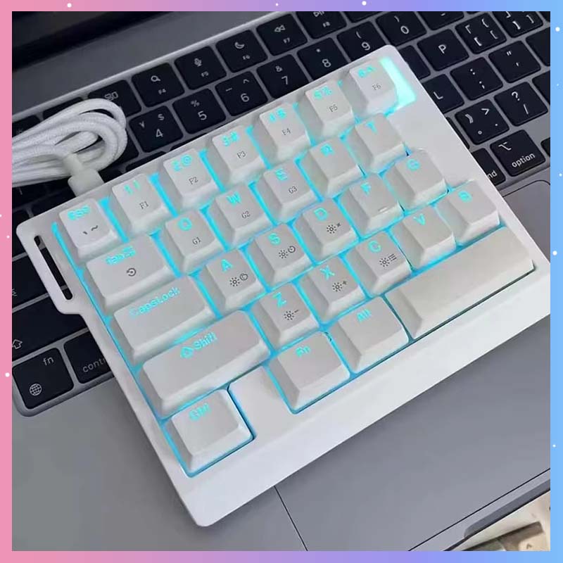 Gaming Keyboard Esports - HE30 Mechanical Gaming Keyboard 29keys Magnetic